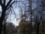 Nature Gallery / Title: Autumn in Sofia / Picture 3