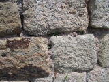 Passion Gallery / Title: Small Lezard on Stone Wall / Picture 4